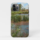 Search for green frog cases Water