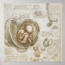 Search for humanist posters Italian