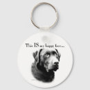 Search for labs key rings Retriever