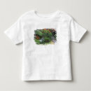 Search for arashiyama tshirts Green