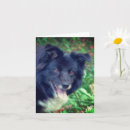 Search for smile note cards Animal