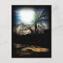 Search for denver postcards Colour