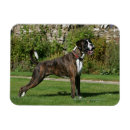 Search for brindle magnets Standing