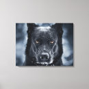 Search for german shepherd canvas prints Animals