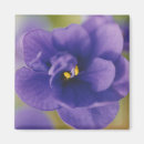 Search for blooming magnets Floral photography