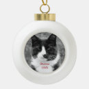 Search for tuxedo cat christmas tree decorations White