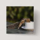 Search for squirrel photos badges Wildlife