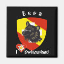 Search for bern magnets Schweiz
