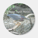 Search for ecology magnets Pollution