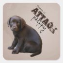 Search for chocolate lab puppy stickers Brown