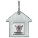 Search for cat supplies Feline