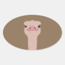 Search for big bird face stickers Animal