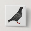 Search for pigeon badges Dove
