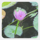 Search for lily pad stickers Floral
