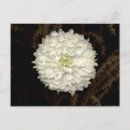 Search for gerber postcards Flora