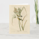 Search for prairie cards Illustration