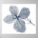 Search for wabi posters Nature