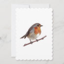 Search for robin bird invitations Nature