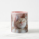 Search for orange tabby mugs Sleeping