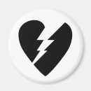 Search for vector magnets Black