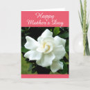 Search for white mothers day cards Gardenia