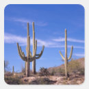 Search for arid stickers Arizona