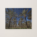 Search for sahara desert puzzles Beauty in nature