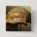 Search for primitive badges Homo