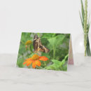 Search for giant cards Butterfly