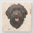 Search for labradoodle kitchen dining Dad