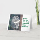 Search for koala bear cards Funny