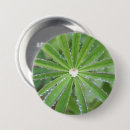 Search for spheres badges Green