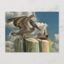 Search for pelicans postcards Florida