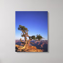 Search for grand canyon canvas prints Nature