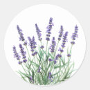 Search for lavender garden stickers Purple