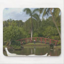 Search for luau mouse mats Hawaiian