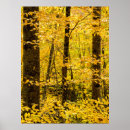 Search for appalachia posters Fall