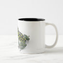 Search for poison dart frog mugs Shells