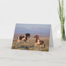 Search for mustang cards Wild horses