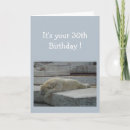 Search for polar bear birthday cards Fun