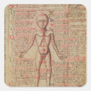 Search for human anatomy stickers Medicine