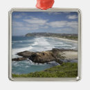 Search for head christmas tree decorations Beach