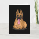Search for belgian malinois cards Shepherd dog