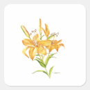 Search for tiger lily stickers Flower