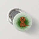 Search for green dog badges Animal