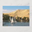 Search for two trees postcards Desert