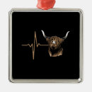 Search for scottish highland cow decor Cattle