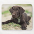Search for chocolate lab mouse mats Dog