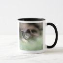 Search for wolf photo mugs Photography