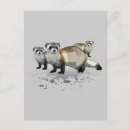 Search for ferrets postcards Funny